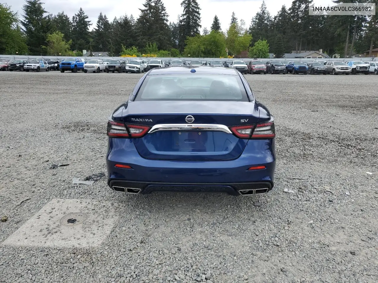 2020 Nissan Maxima Sv VIN: 1N4AA6CV0LC366982 Lot: 56272725