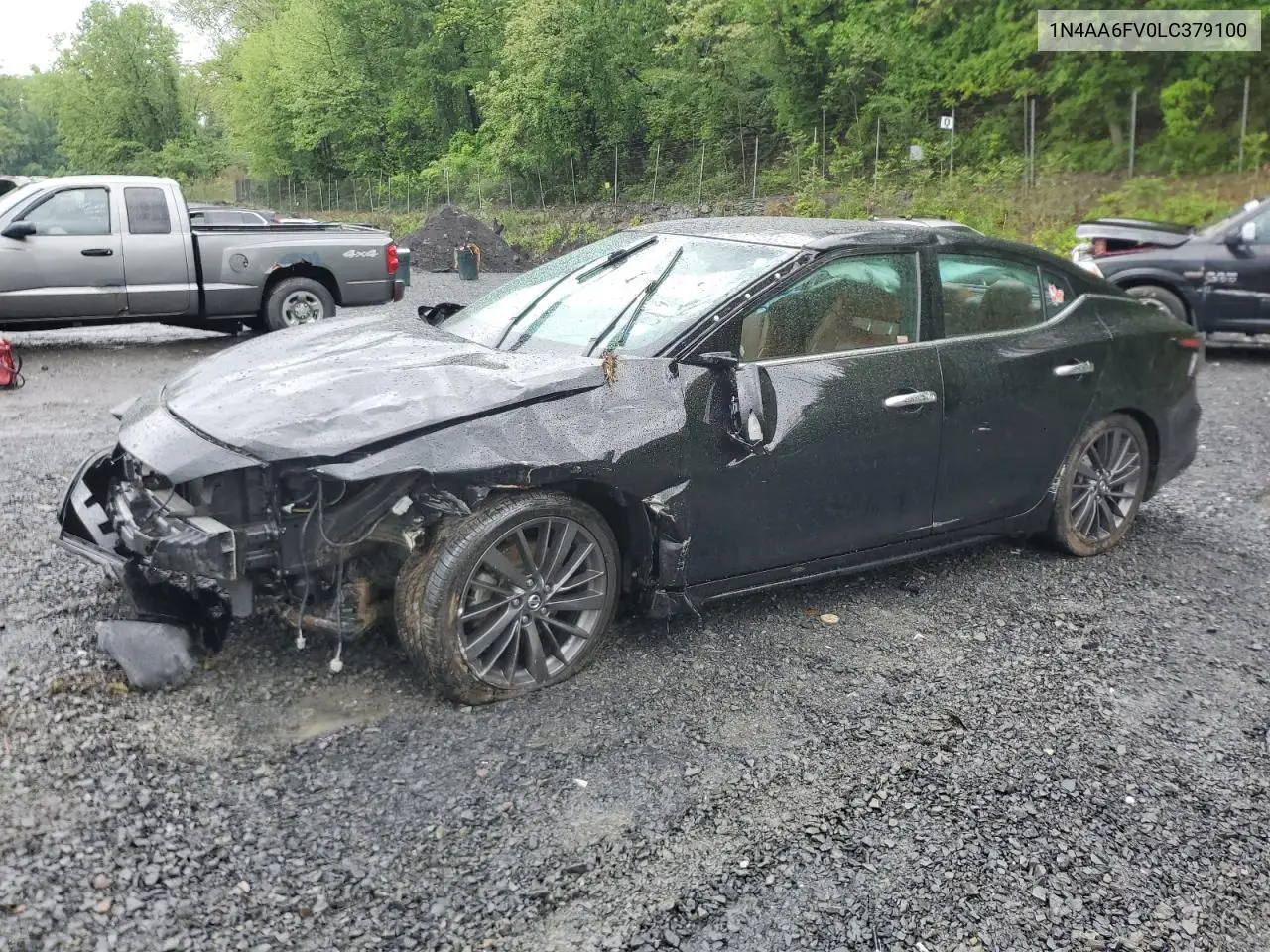 2020 Nissan Maxima Platinum VIN: 1N4AA6FV0LC379100 Lot: 56564965
