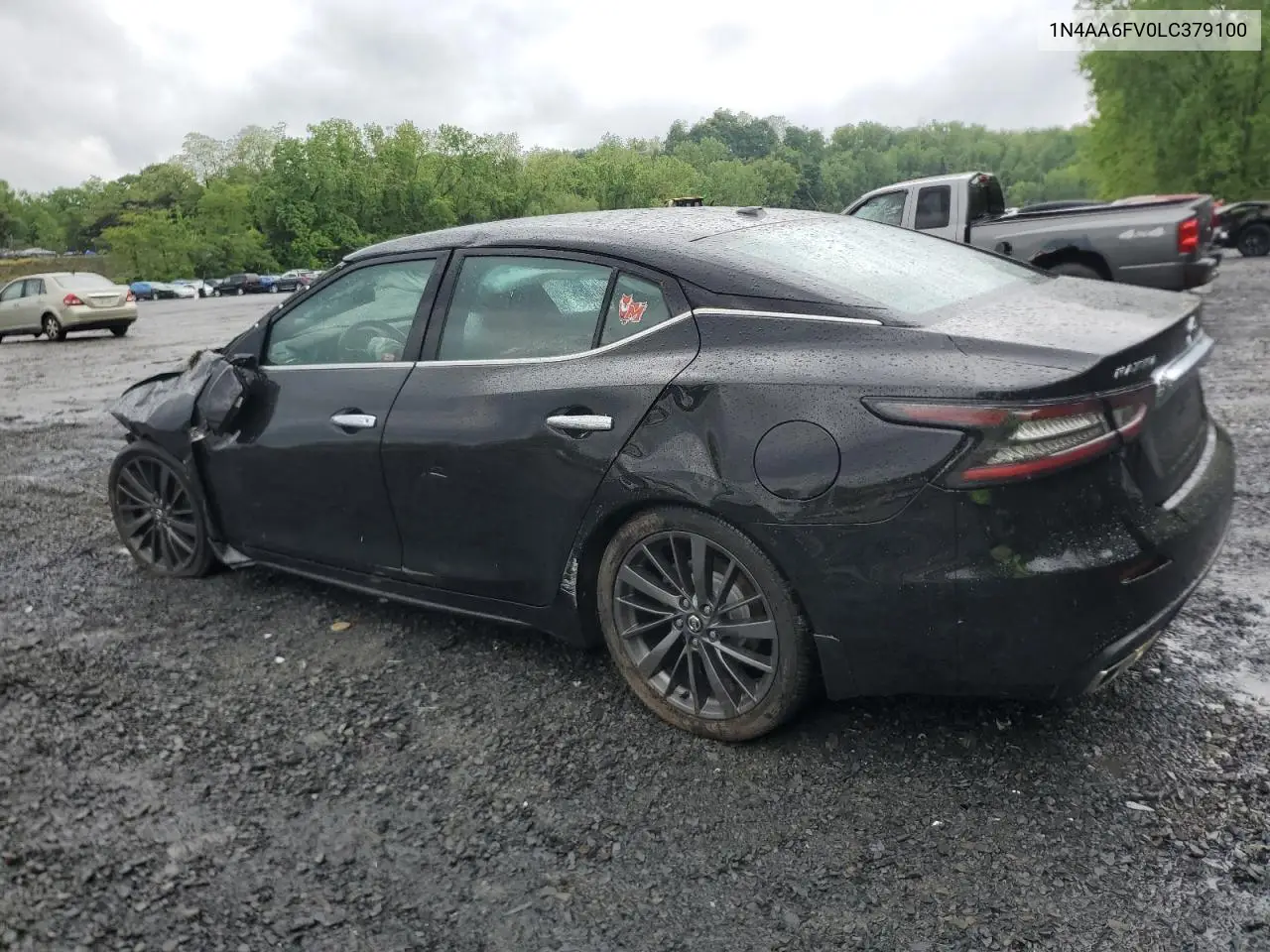 2020 Nissan Maxima Platinum VIN: 1N4AA6FV0LC379100 Lot: 56564965