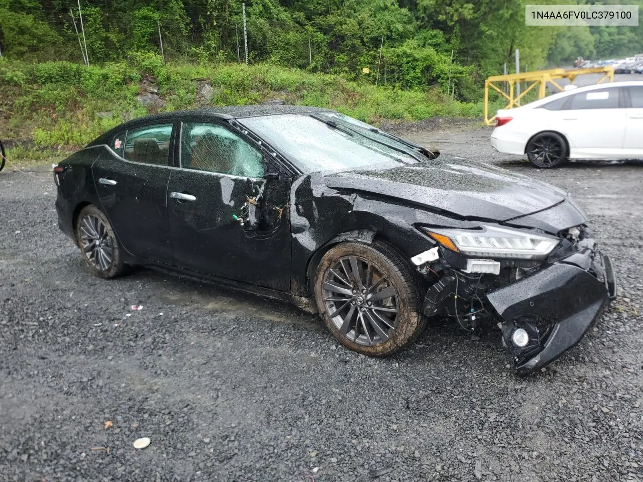 2020 Nissan Maxima Platinum VIN: 1N4AA6FV0LC379100 Lot: 56564965