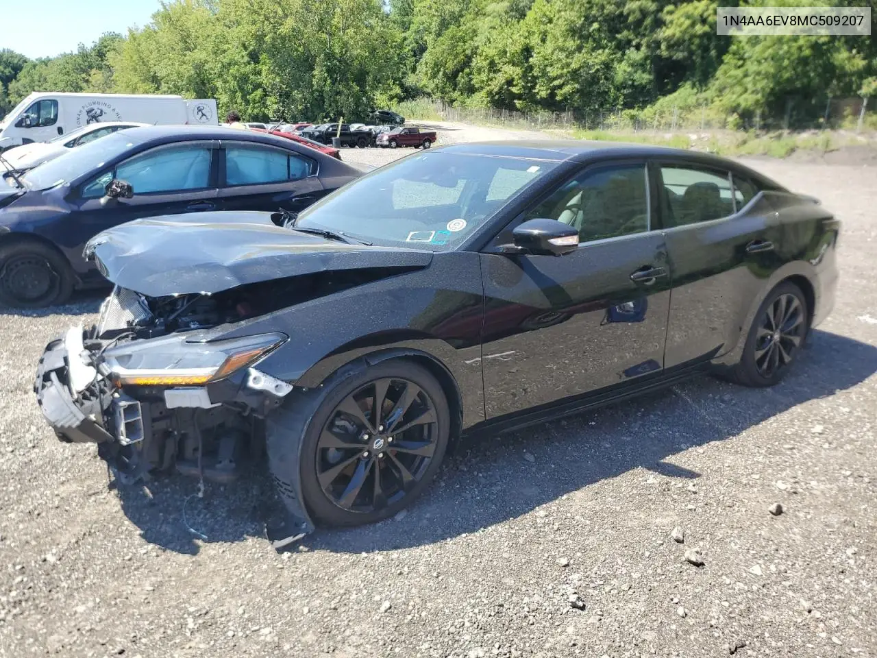 2021 Nissan Maxima Sr VIN: 1N4AA6EV8MC509207 Lot: 65622575
