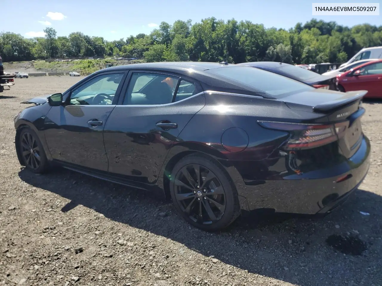 2021 Nissan Maxima Sr VIN: 1N4AA6EV8MC509207 Lot: 65622575