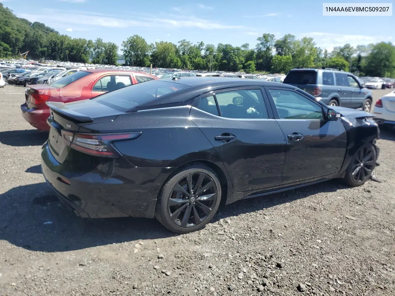 2021 Nissan Maxima Sr VIN: 1N4AA6EV8MC509207 Lot: 65622575