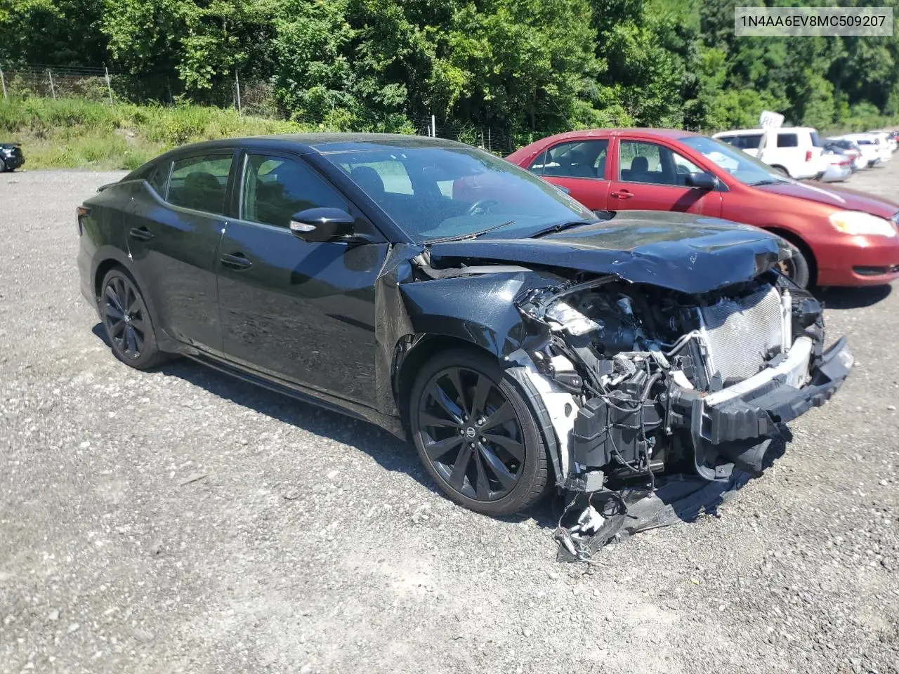 2021 Nissan Maxima Sr VIN: 1N4AA6EV8MC509207 Lot: 65622575