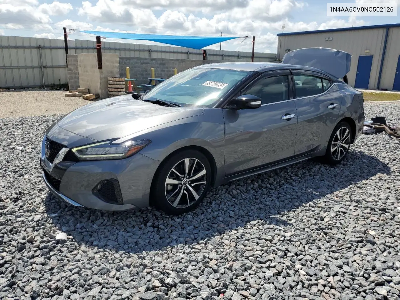 2022 Nissan Maxima Sv VIN: 1N4AA6CV0NC502126 Lot: 55903595
