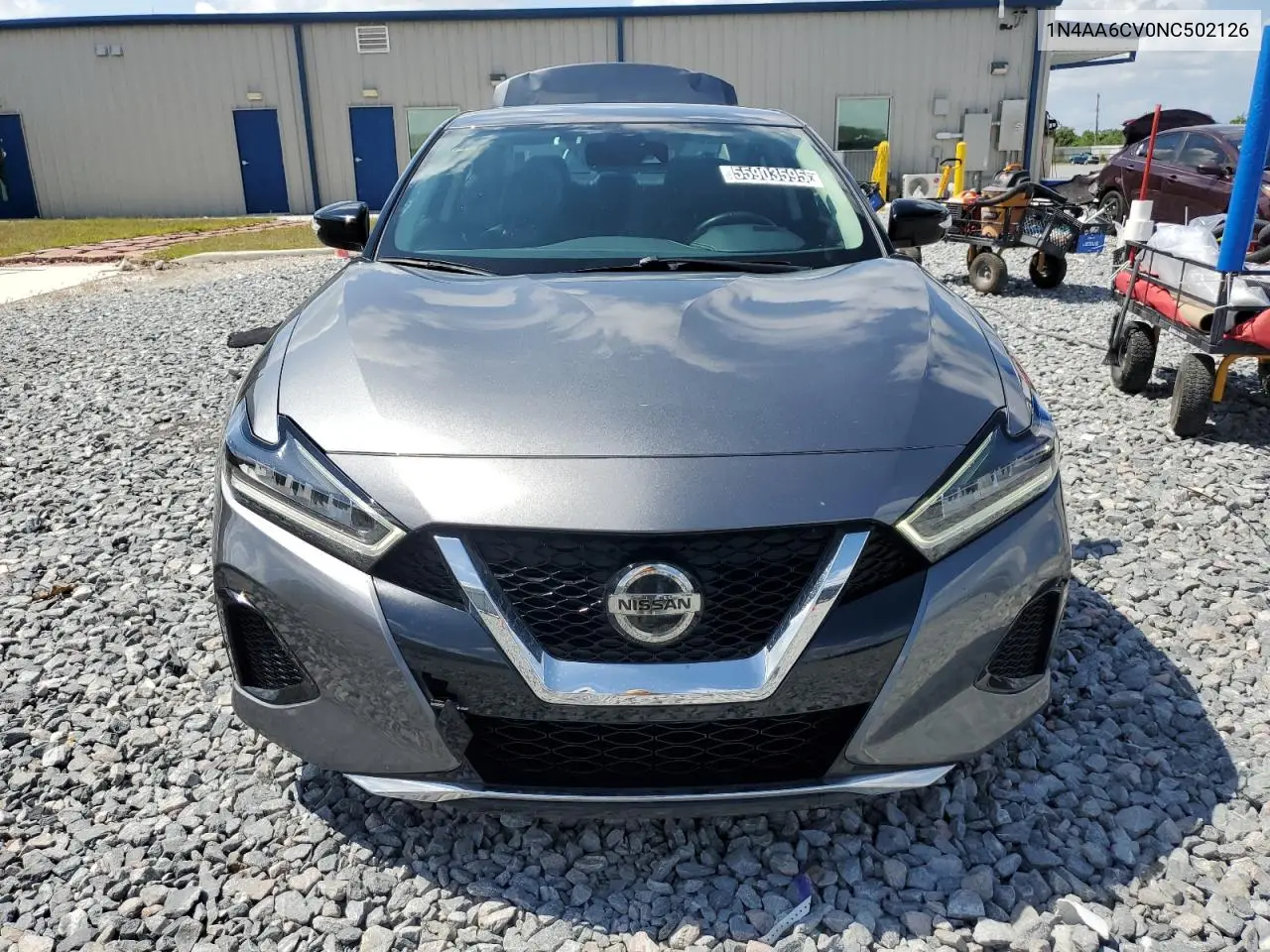 2022 Nissan Maxima Sv VIN: 1N4AA6CV0NC502126 Lot: 55903595