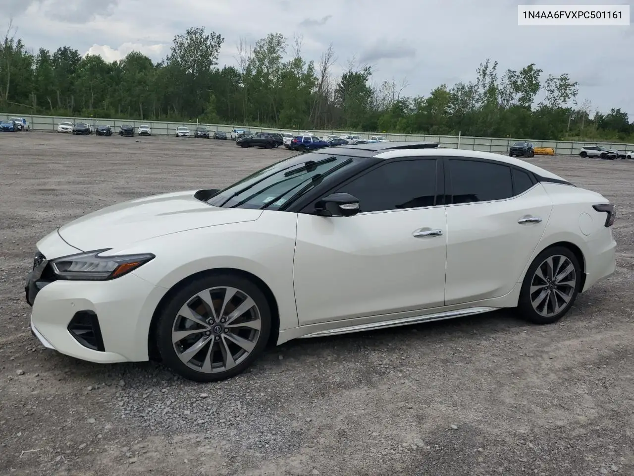2023 Nissan Maxima Platinum VIN: 1N4AA6FVXPC501161 Lot: 62685065