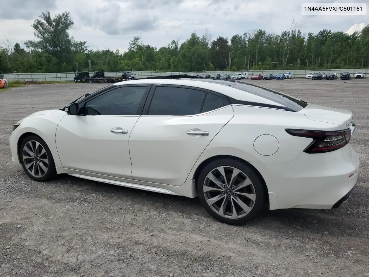 2023 Nissan Maxima Platinum VIN: 1N4AA6FVXPC501161 Lot: 62685065