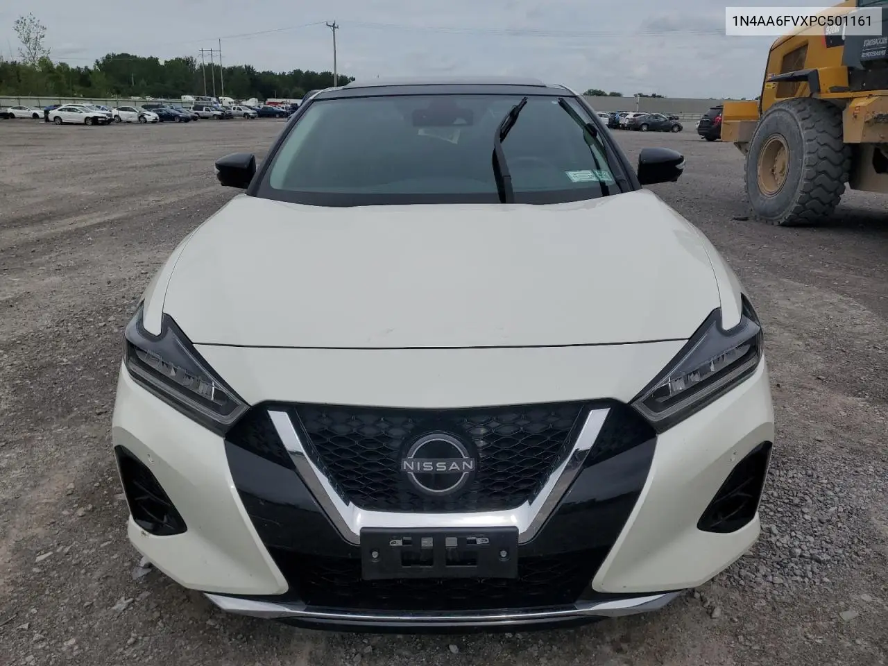 2023 Nissan Maxima Platinum VIN: 1N4AA6FVXPC501161 Lot: 62685065