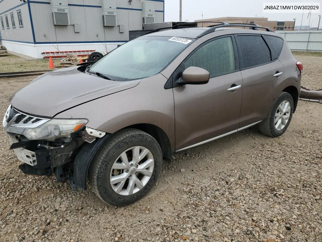 2013 Nissan Murano S VIN: JN8AZ1MW1DW302029 Lot: 60555125