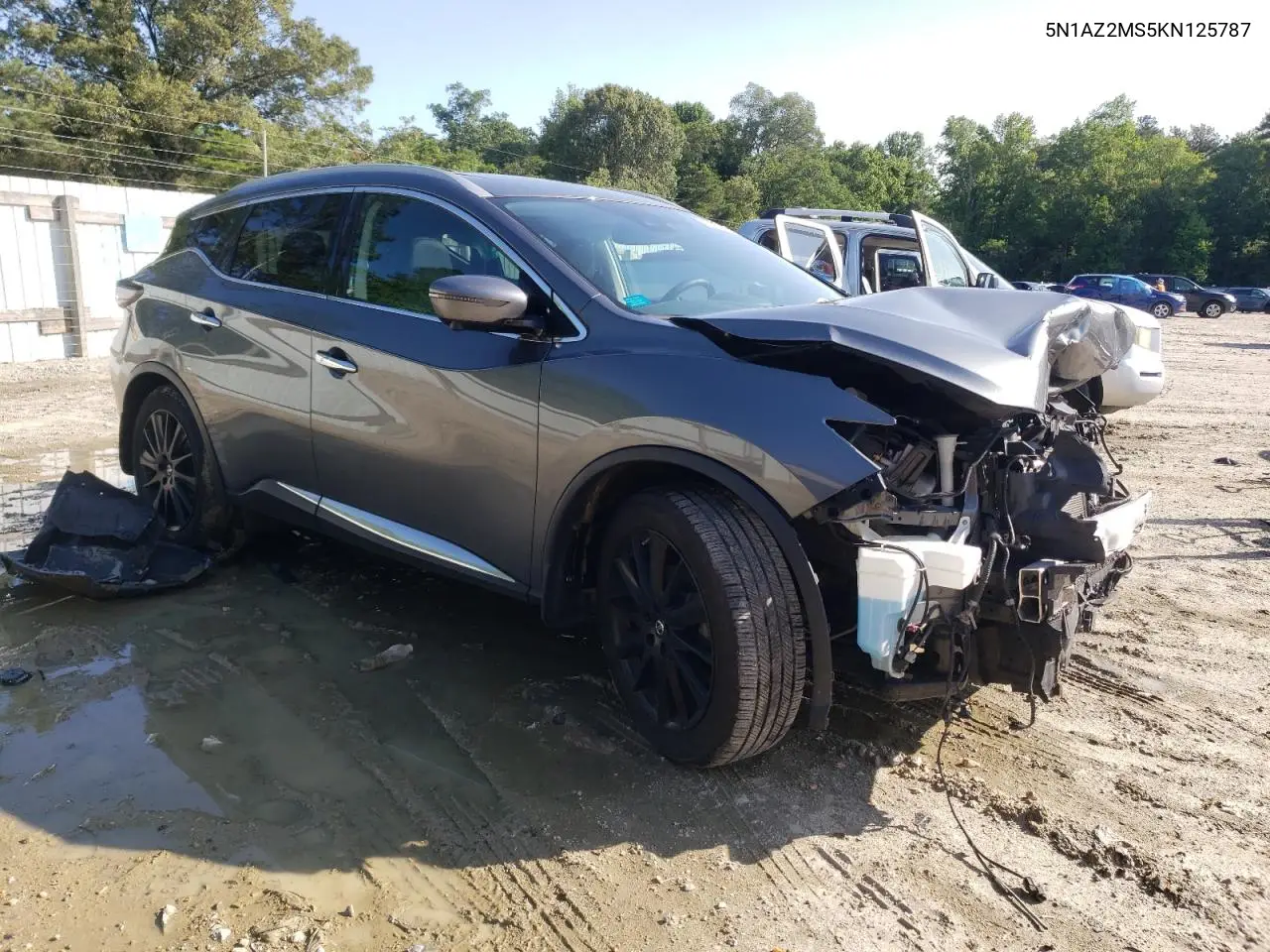 2019 Nissan Murano S VIN: 5N1AZ2MS5KN125787 Lot: 59139935