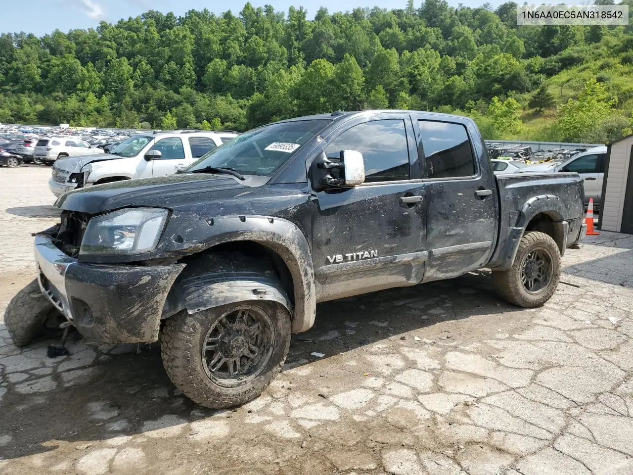 2010 Nissan Titan Xe VIN: 1N6AA0EC5AN318542 Lot: 59895335