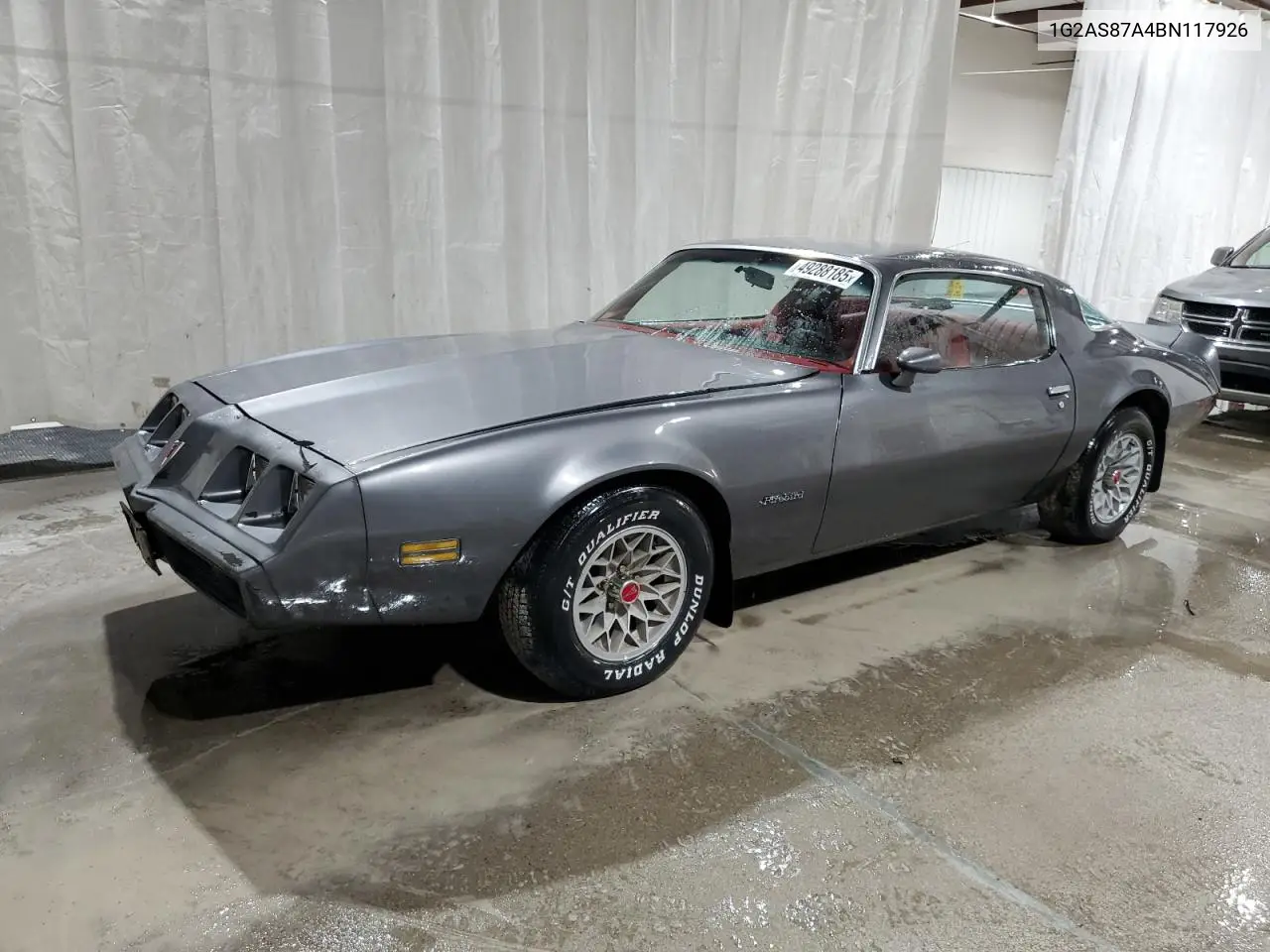 1981 Pontiac Firebird VIN: 1G2AS87A4BN117926 Lot: 49288185