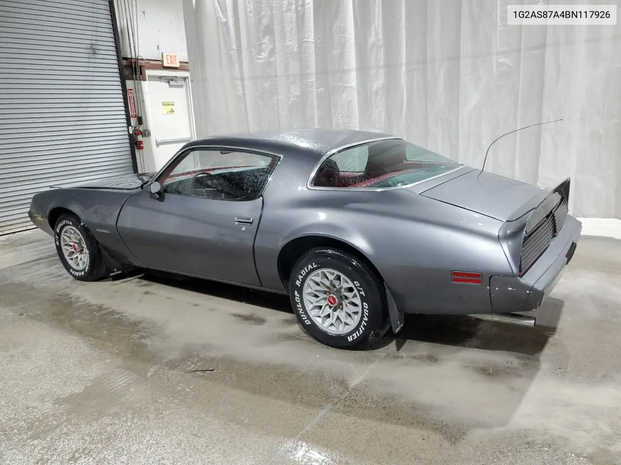 1981 Pontiac Firebird VIN: 1G2AS87A4BN117926 Lot: 49288185