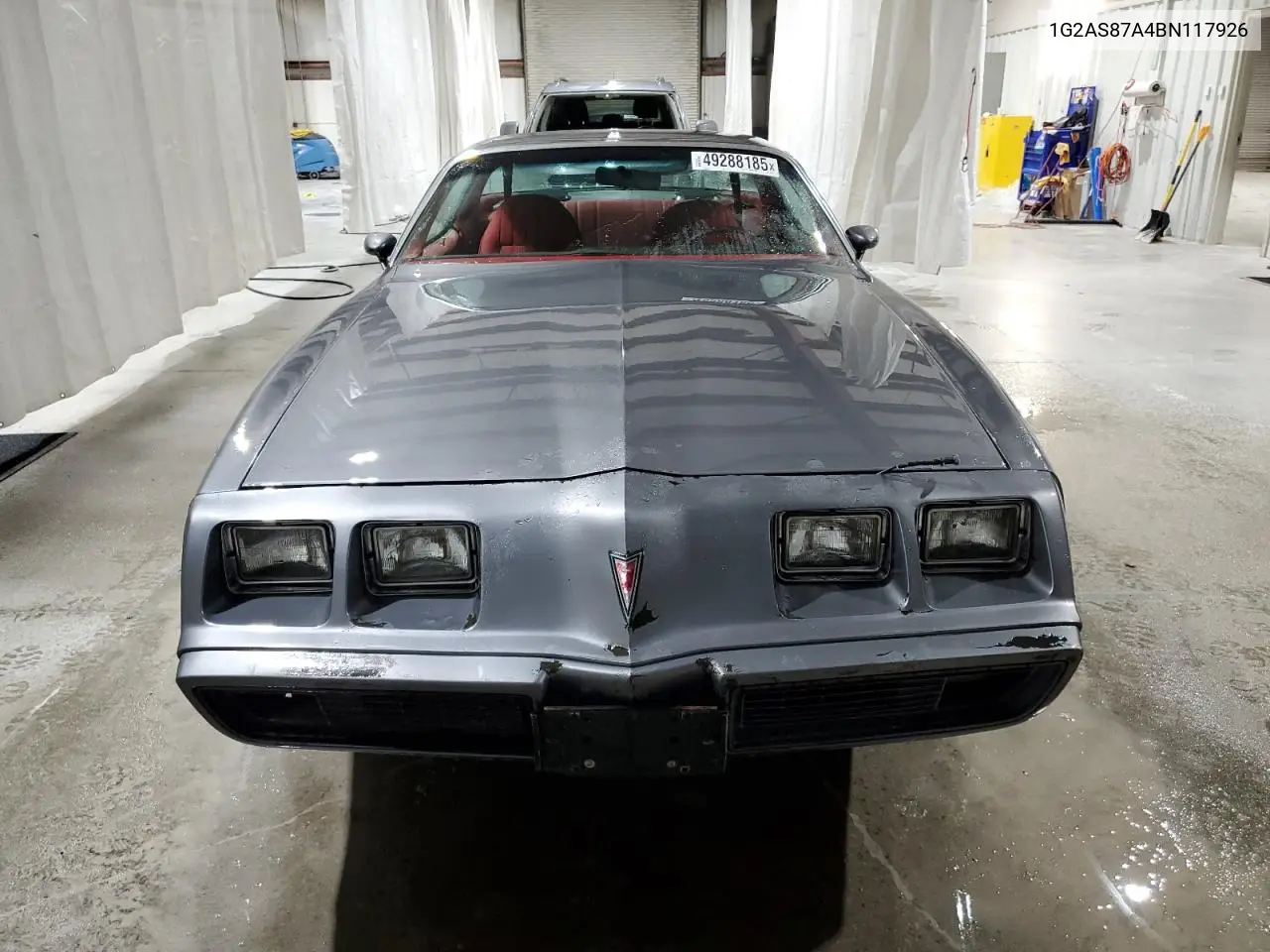 1981 Pontiac Firebird VIN: 1G2AS87A4BN117926 Lot: 49288185