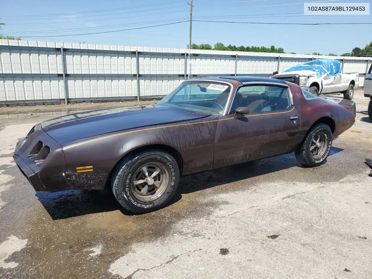 1981 Pontiac Firebird VIN: 1G2AS87A9BL129453 Lot: 53831225