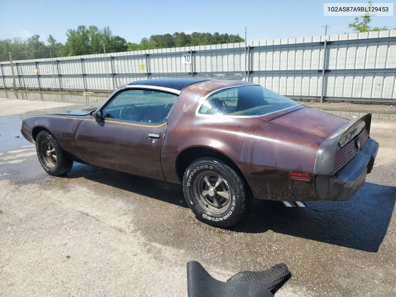 1981 Pontiac Firebird VIN: 1G2AS87A9BL129453 Lot: 53831225