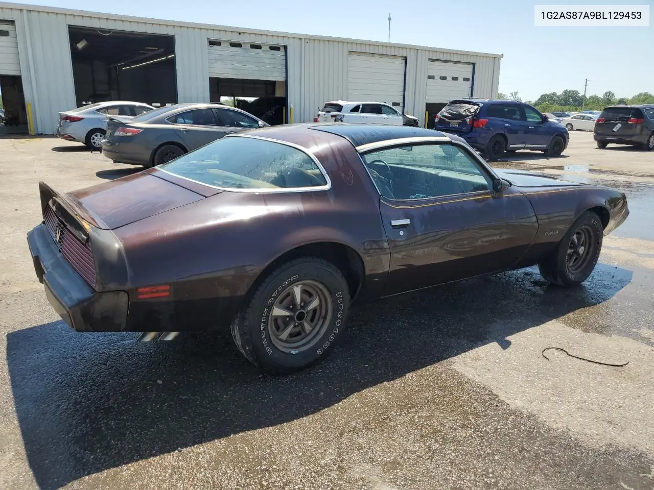 1981 Pontiac Firebird VIN: 1G2AS87A9BL129453 Lot: 53831225
