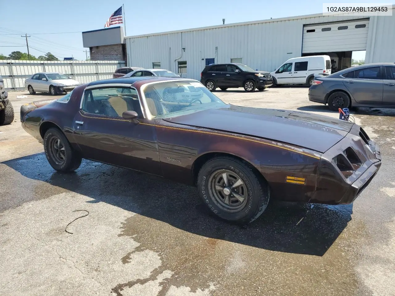 1981 Pontiac Firebird VIN: 1G2AS87A9BL129453 Lot: 53831225