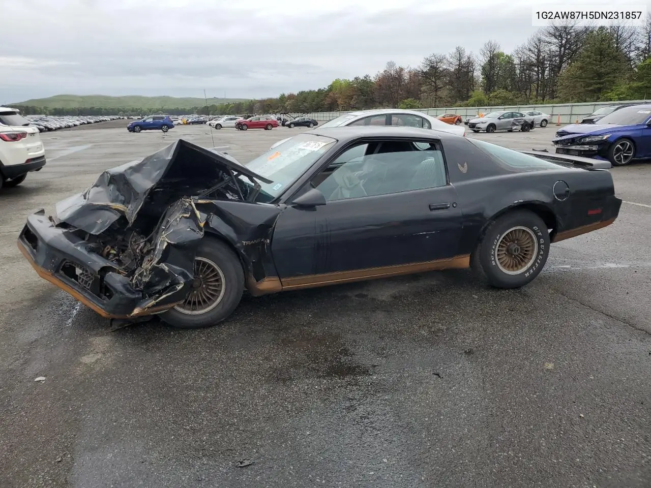 1983 Pontiac Firebird Trans Am VIN: 1G2AW87H5DN231857 Lot: 56677615