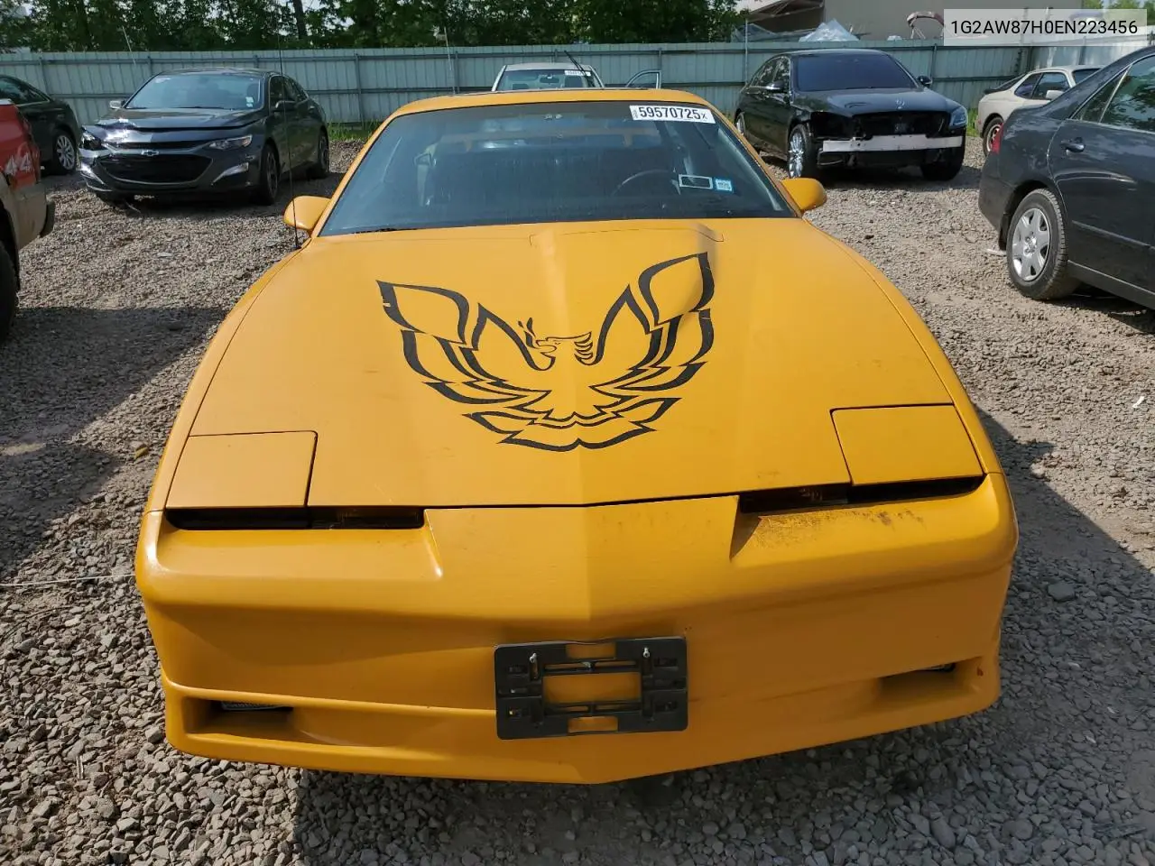 1984 Pontiac Firebird Trans Am VIN: 1G2AW87H0EN223456 Lot: 59570725