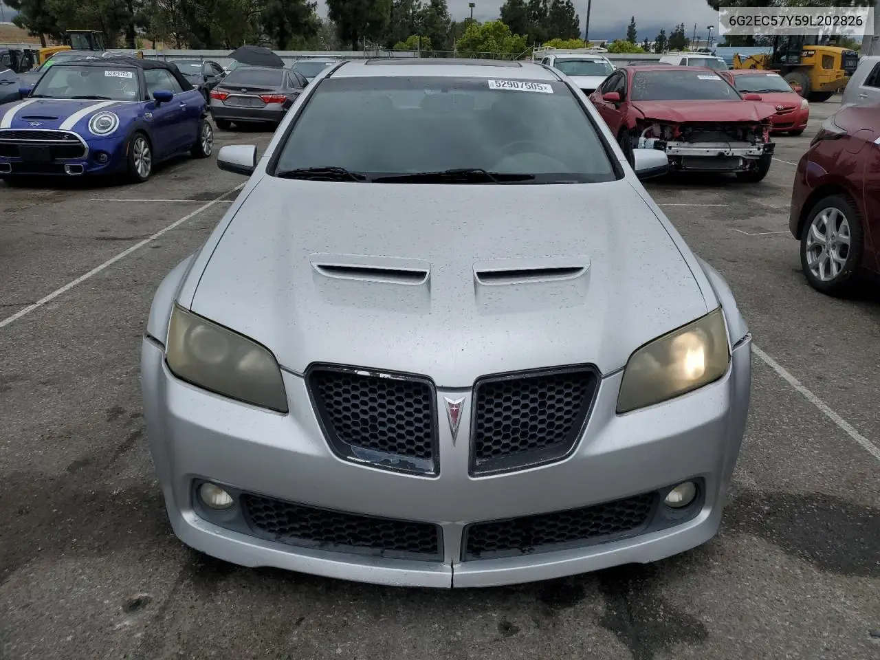 2009 Pontiac G8 Gt VIN: 6G2EC57Y59L202826 Lot: 52907505