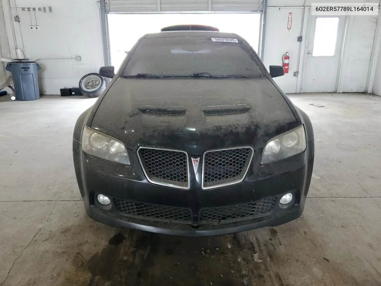2009 Pontiac G8 VIN: 6G2ER57789L164014 Lot: 56029095