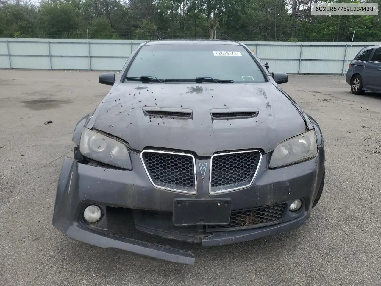 2009 Pontiac G8 VIN: 6G2ER57759L234438 Lot: 62669575
