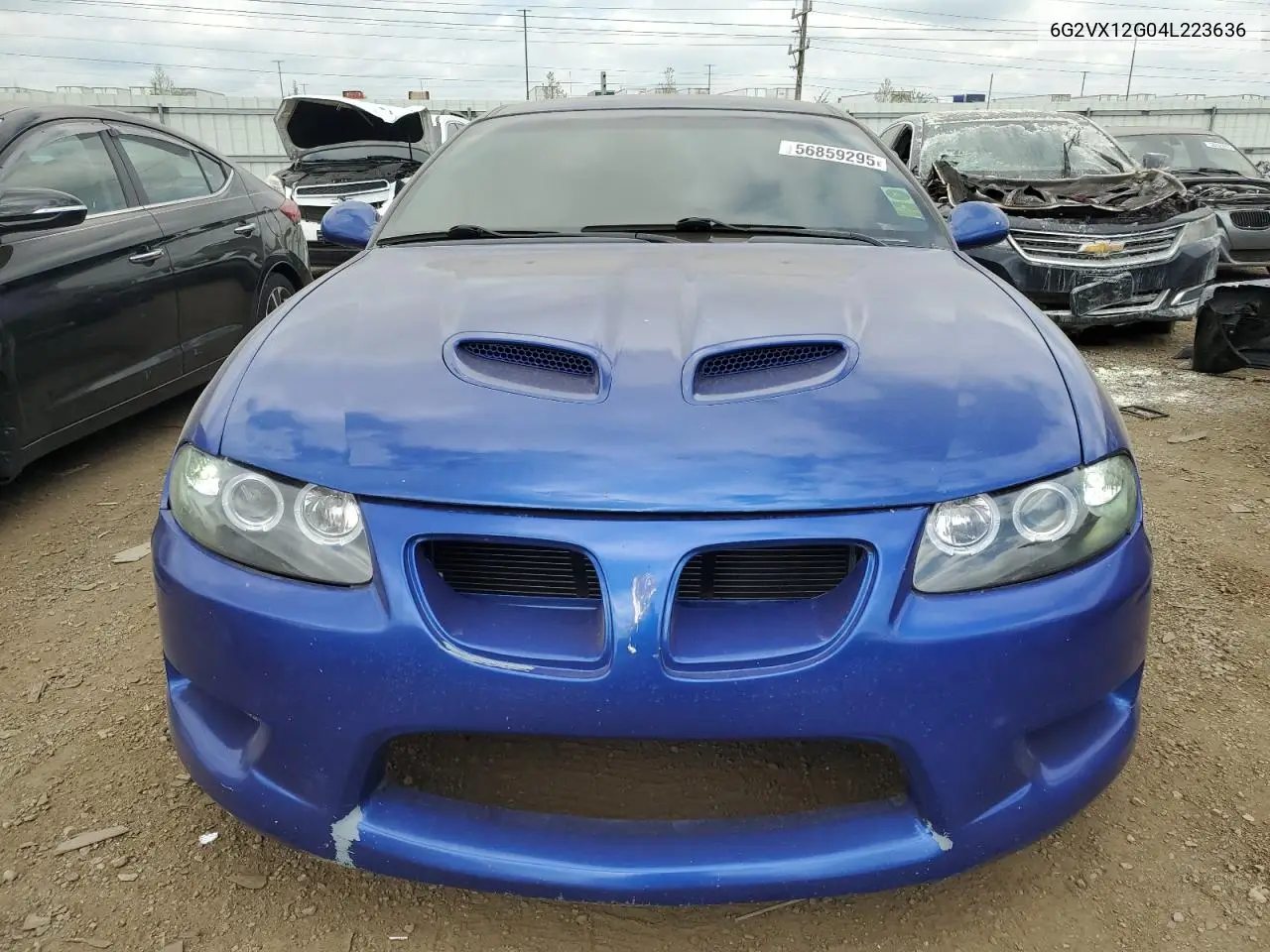 2004 Pontiac Gto VIN: 6G2VX12G04L223636 Lot: 56859295