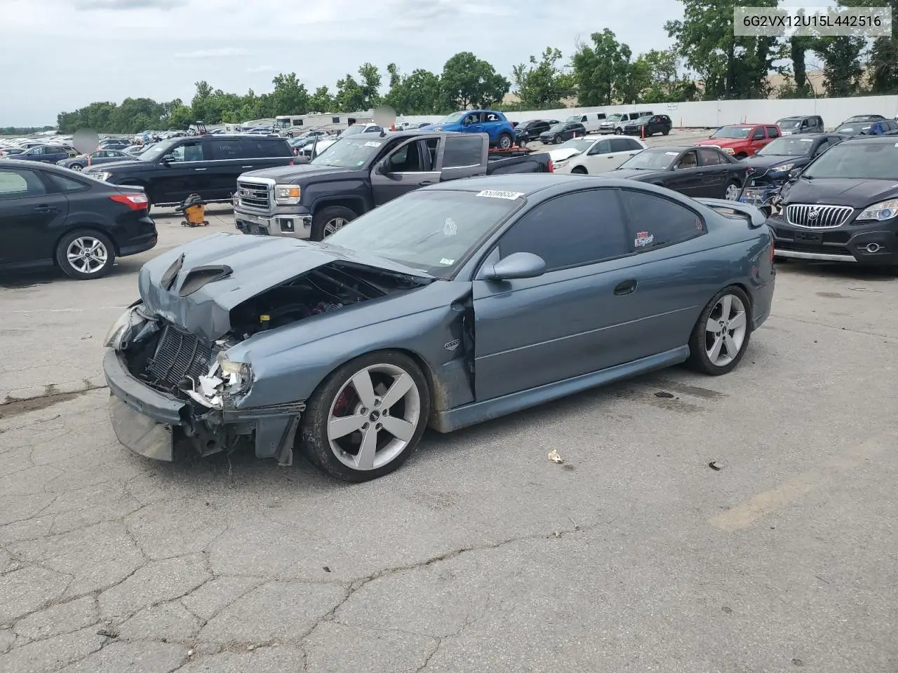 6g2vx12u15l442516 6G2VX12U15L442516 2005 Pontiac Gto