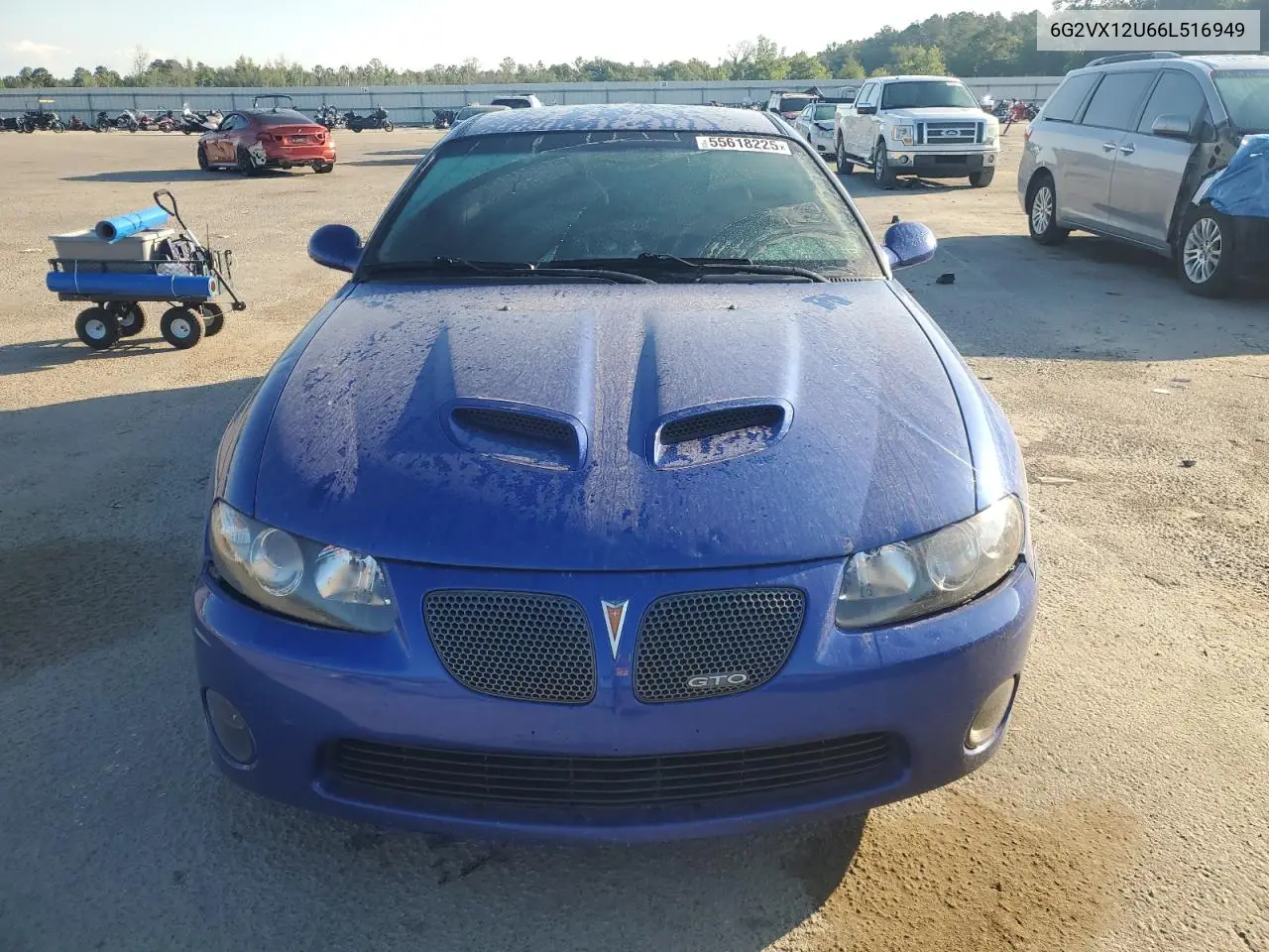 2006 Pontiac Gto VIN: 6G2VX12U66L516949 Lot: 55618225