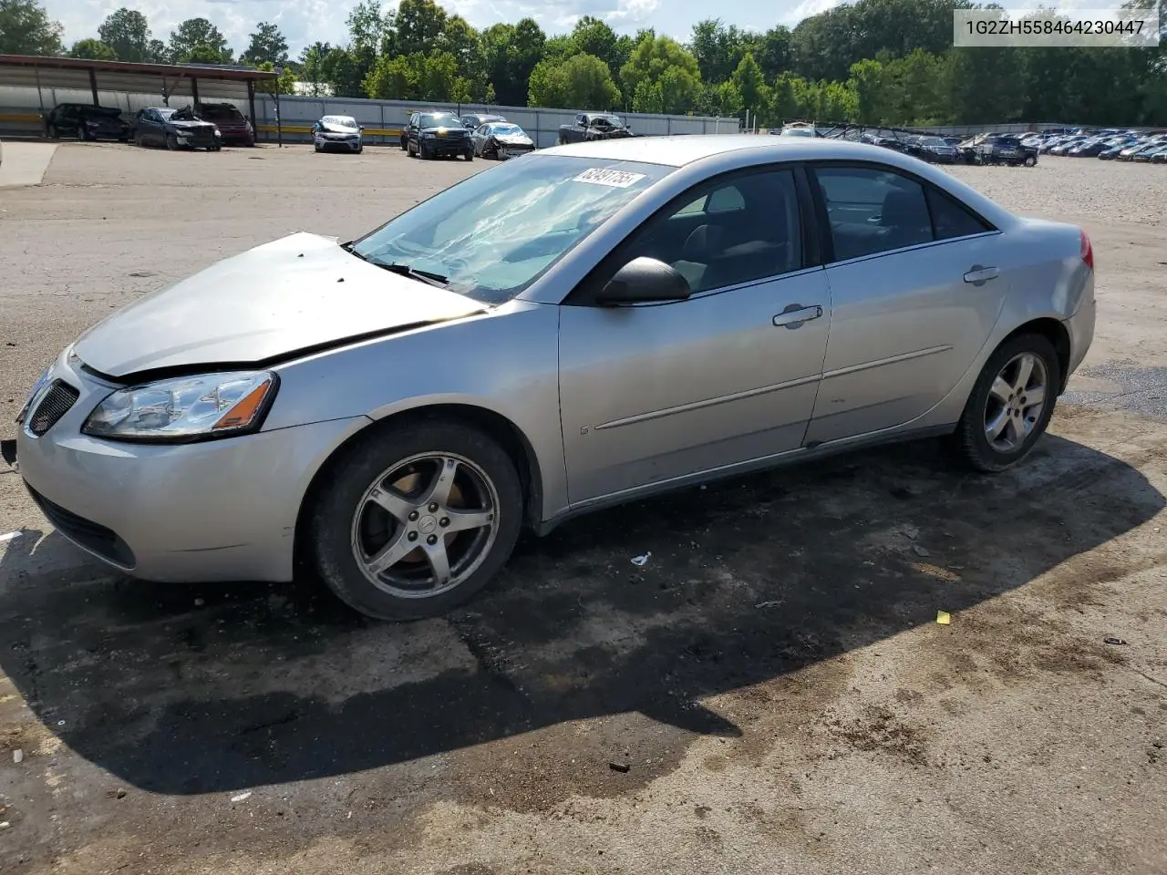 2006 Pontiac G6 Gt VIN: 1G2ZH558464230447 Lot: 62491755