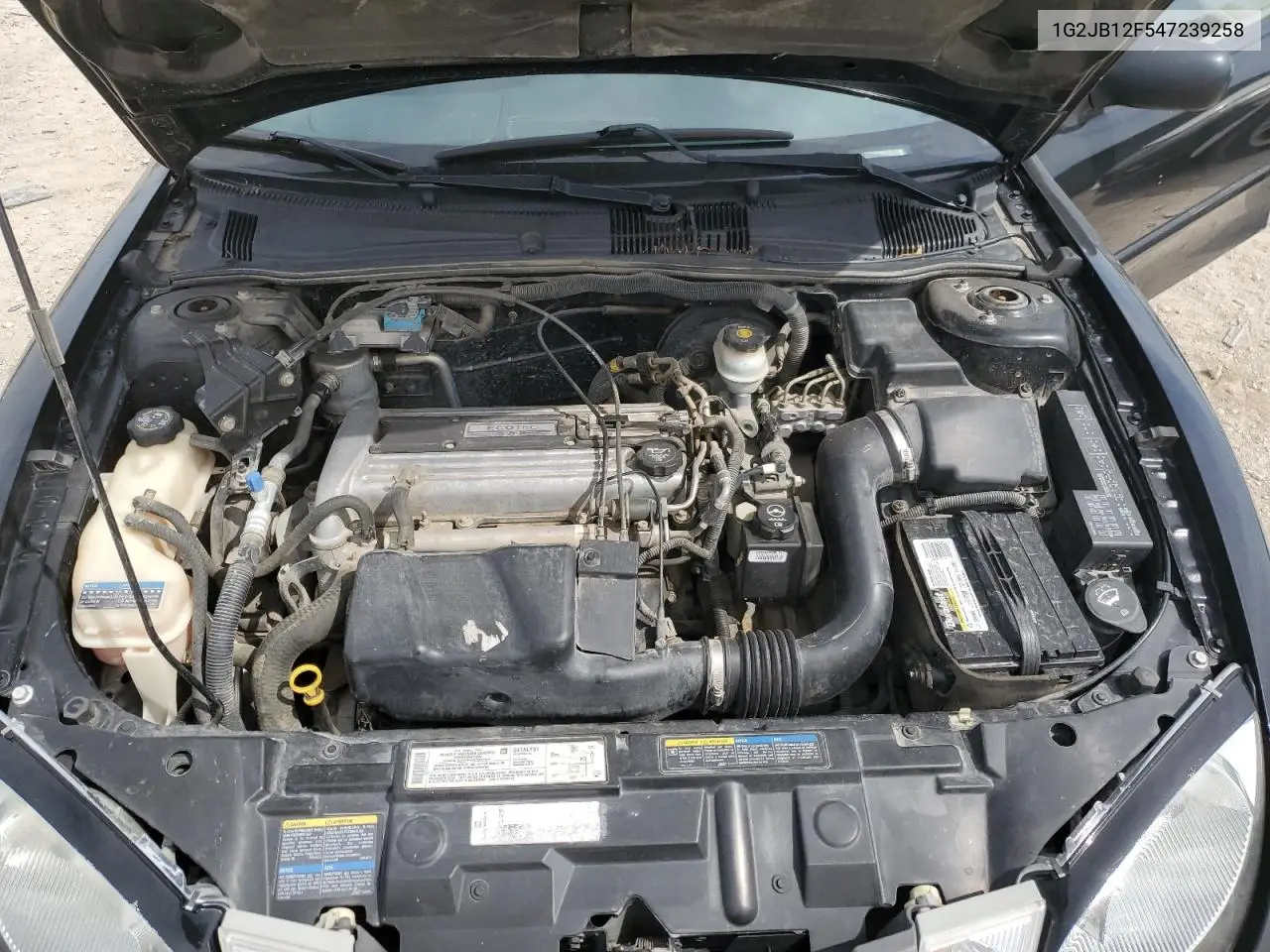 2004 Pontiac Sunfire VIN: 1G2JB12F547239258 Lot: 55818955