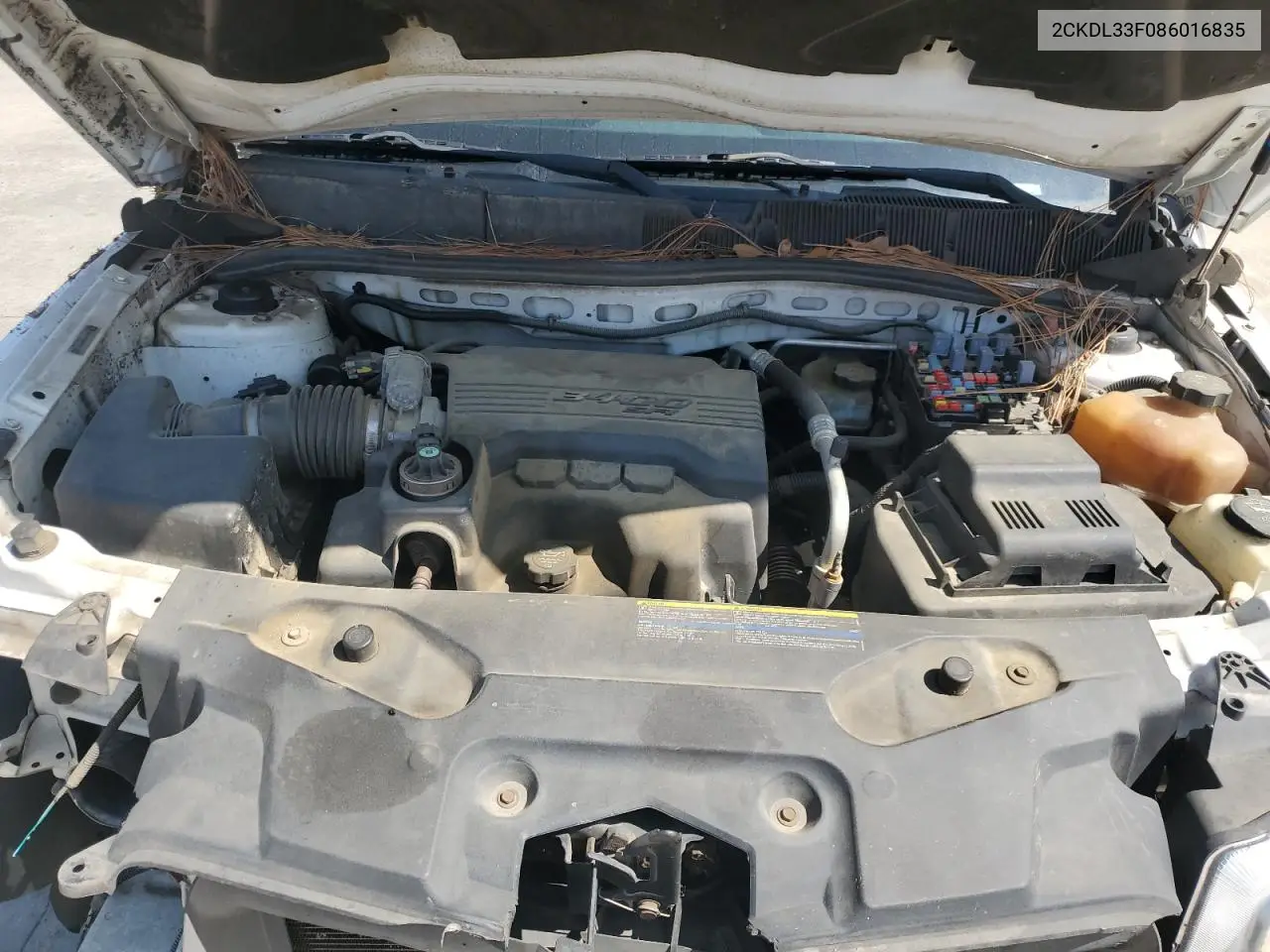 2008 Pontiac Torrent VIN: 2CKDL33F086016835 Lot: 52447865