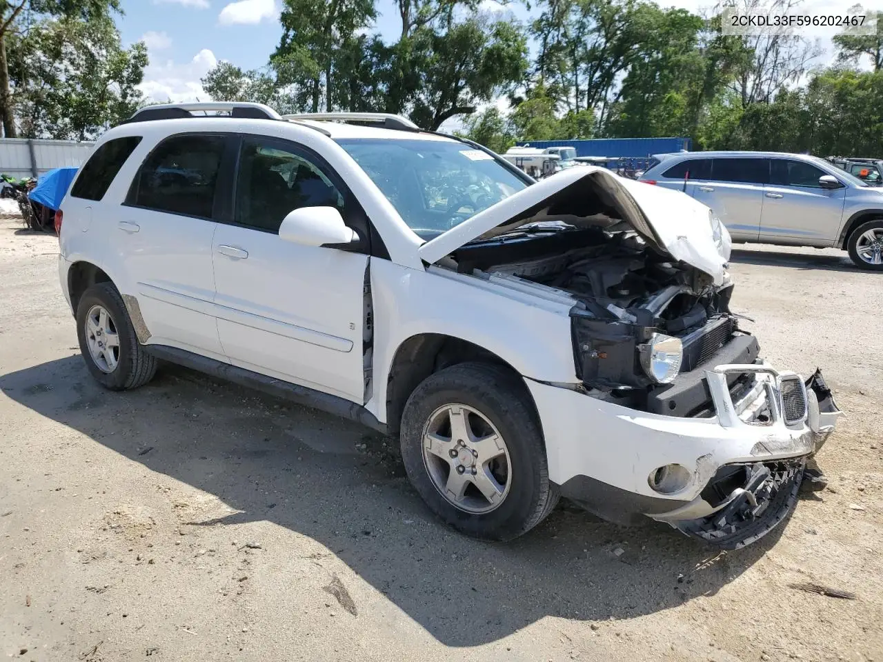 2009 Pontiac Torrent VIN: 2CKDL33F596202467 Lot: 58896555