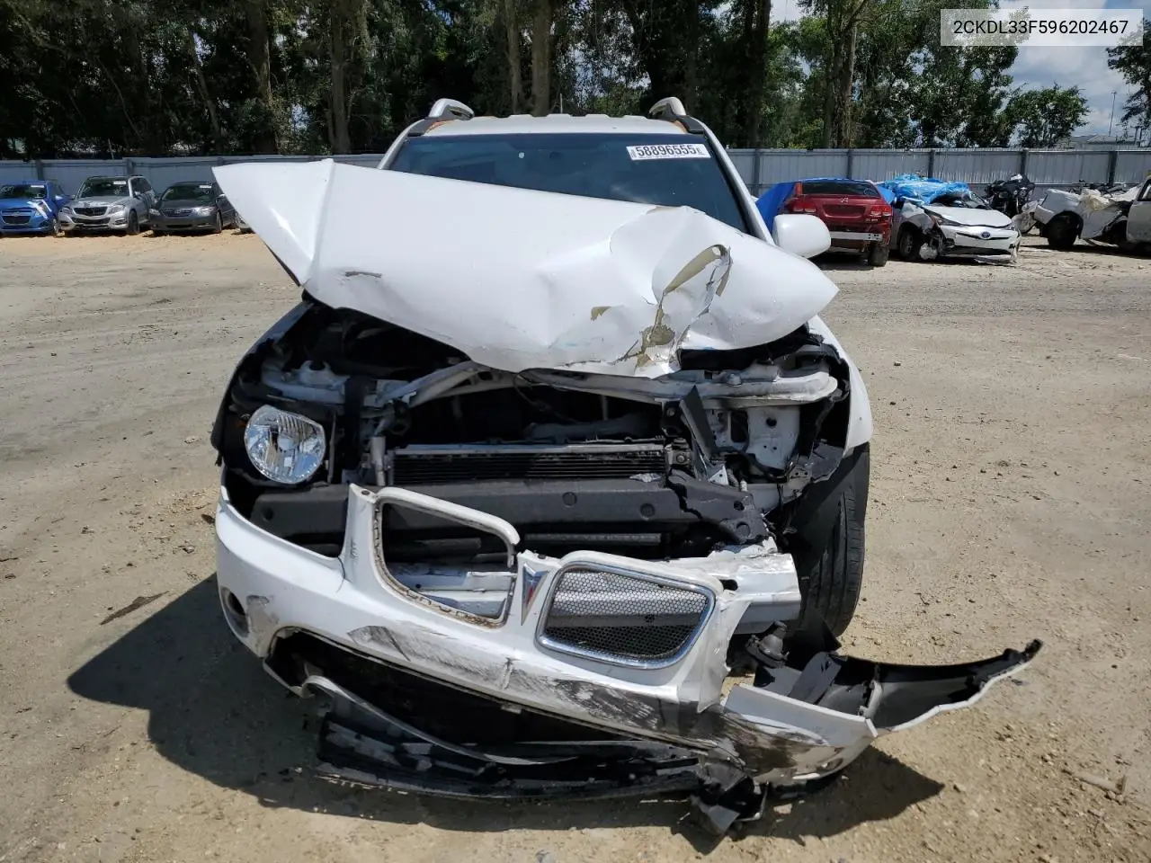 2009 Pontiac Torrent VIN: 2CKDL33F596202467 Lot: 58896555