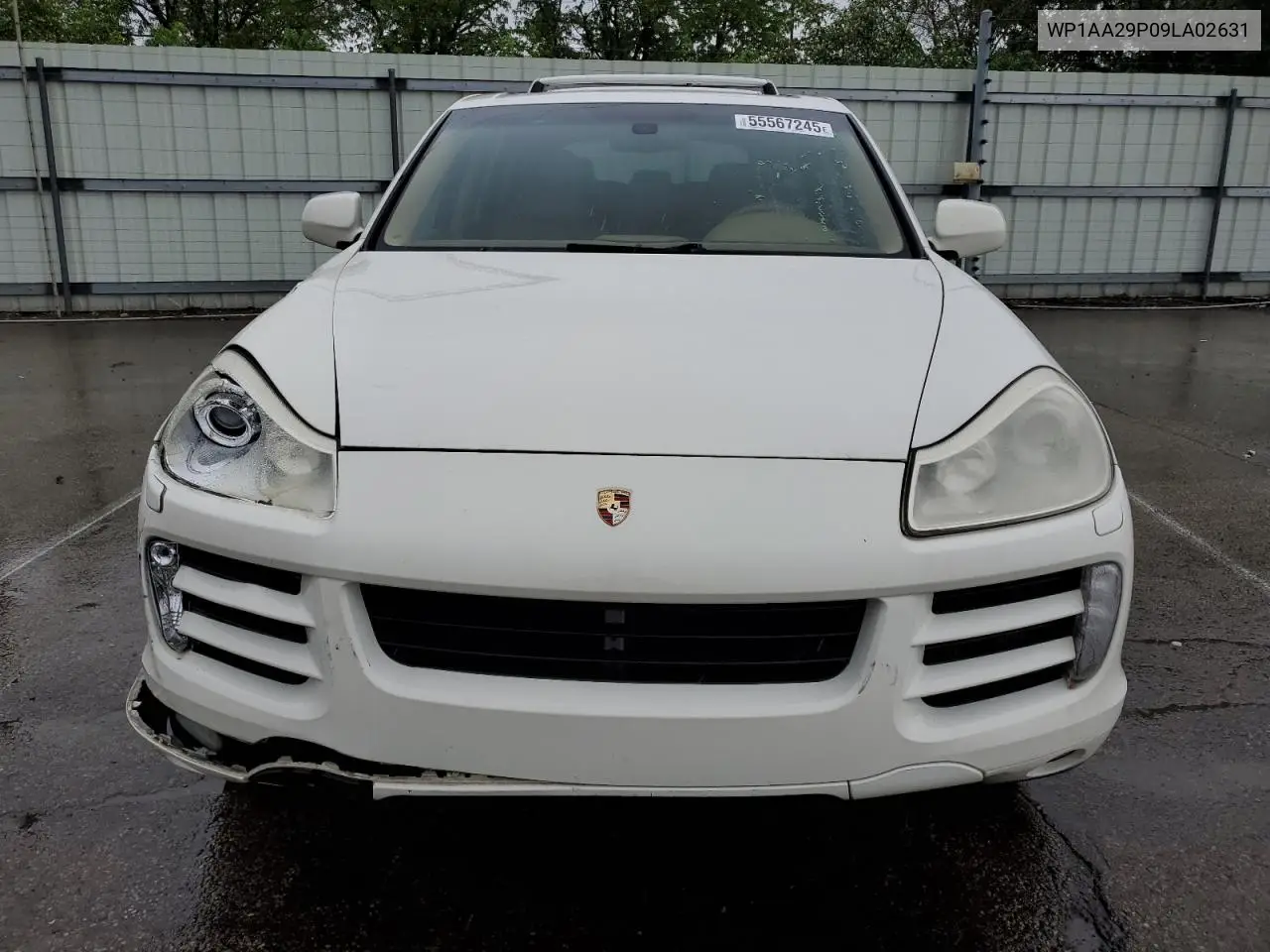 2009 Porsche Cayenne VIN: WP1AA29P09LA02631 Lot: 55567245