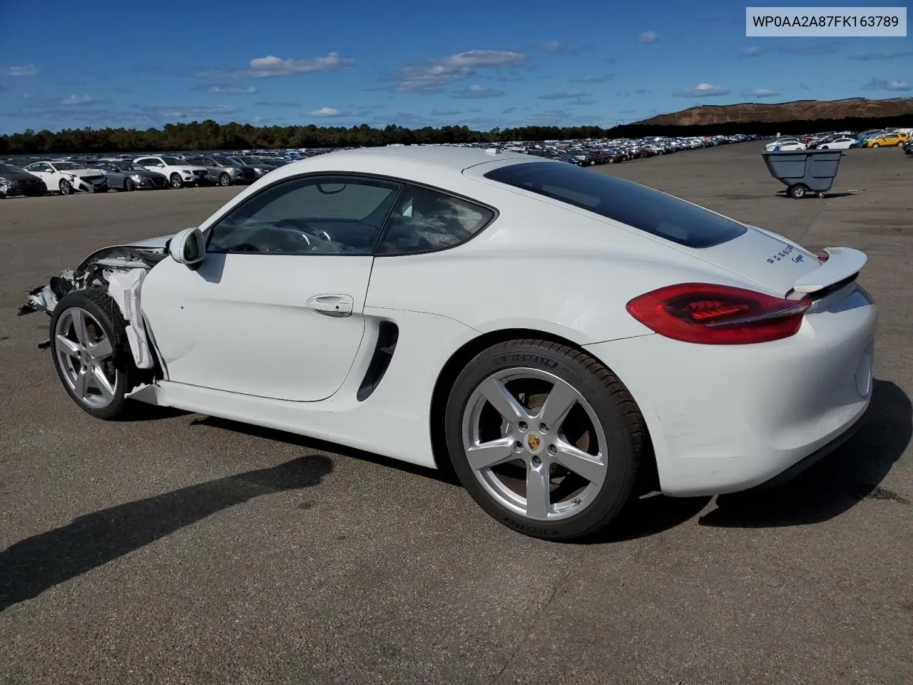 2015 Porsche Cayman VIN: WP0AA2A87FK163789 Lot: 76702174