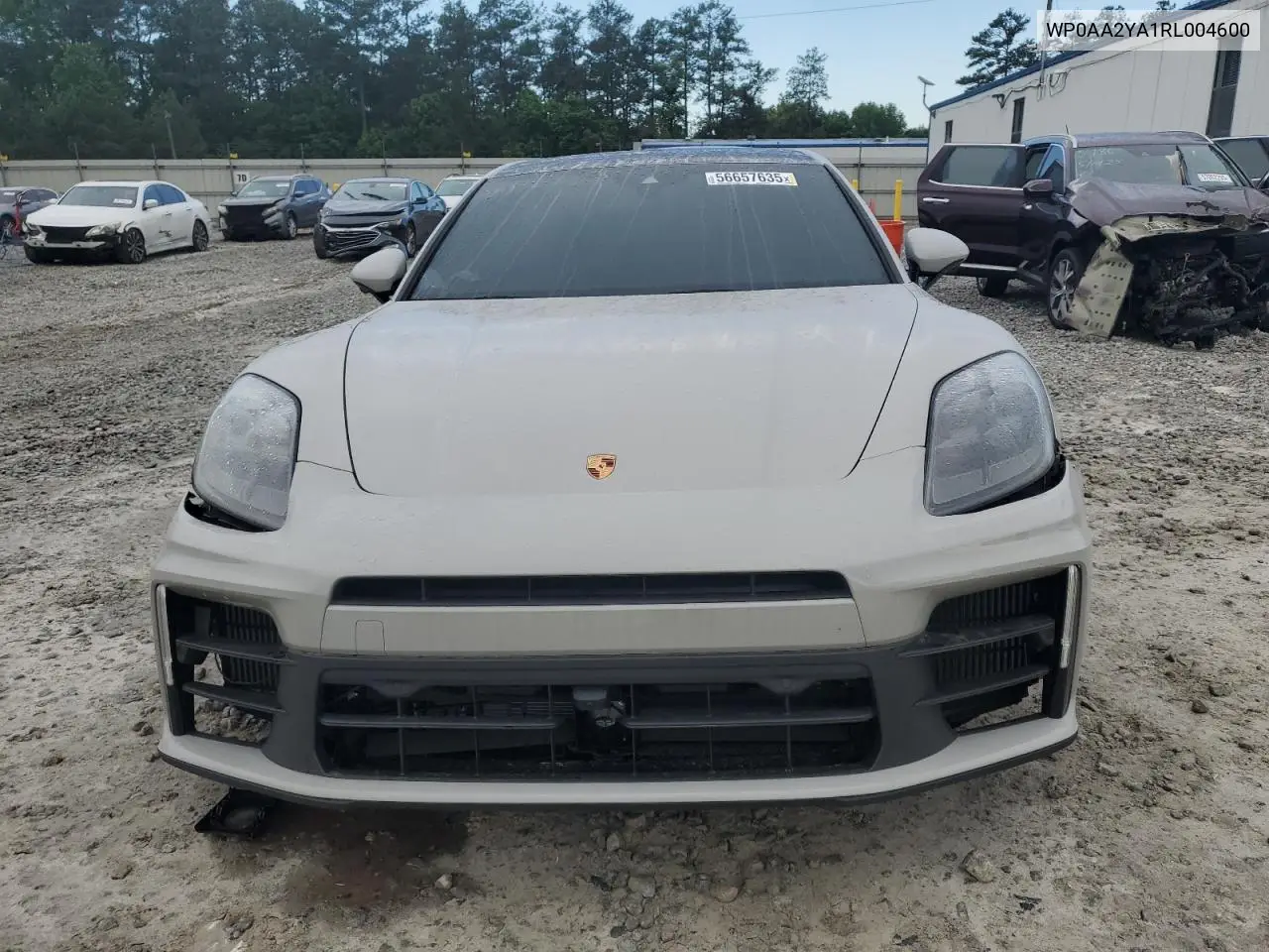 2024 Porsche Panamera Base VIN: WP0AA2YA1RL004600 Lot: 56657635