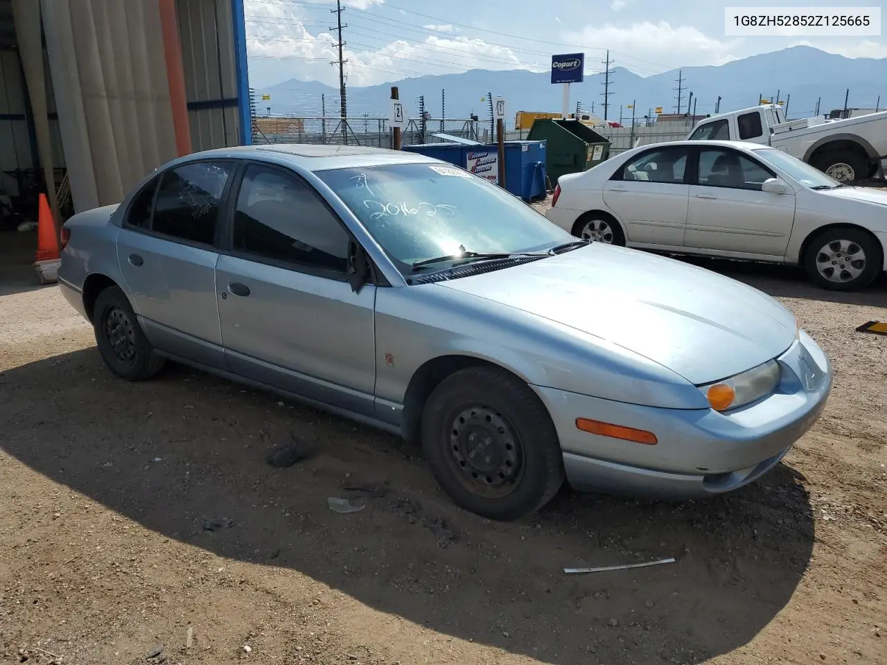 2002 Saturn Sl1 VIN: 1G8ZH52852Z125665 Lot: 64182705