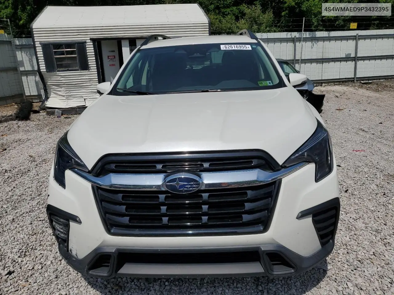 2023 Subaru Ascent Premium VIN: 4S4WMAED9P3432395 Lot: 62616955