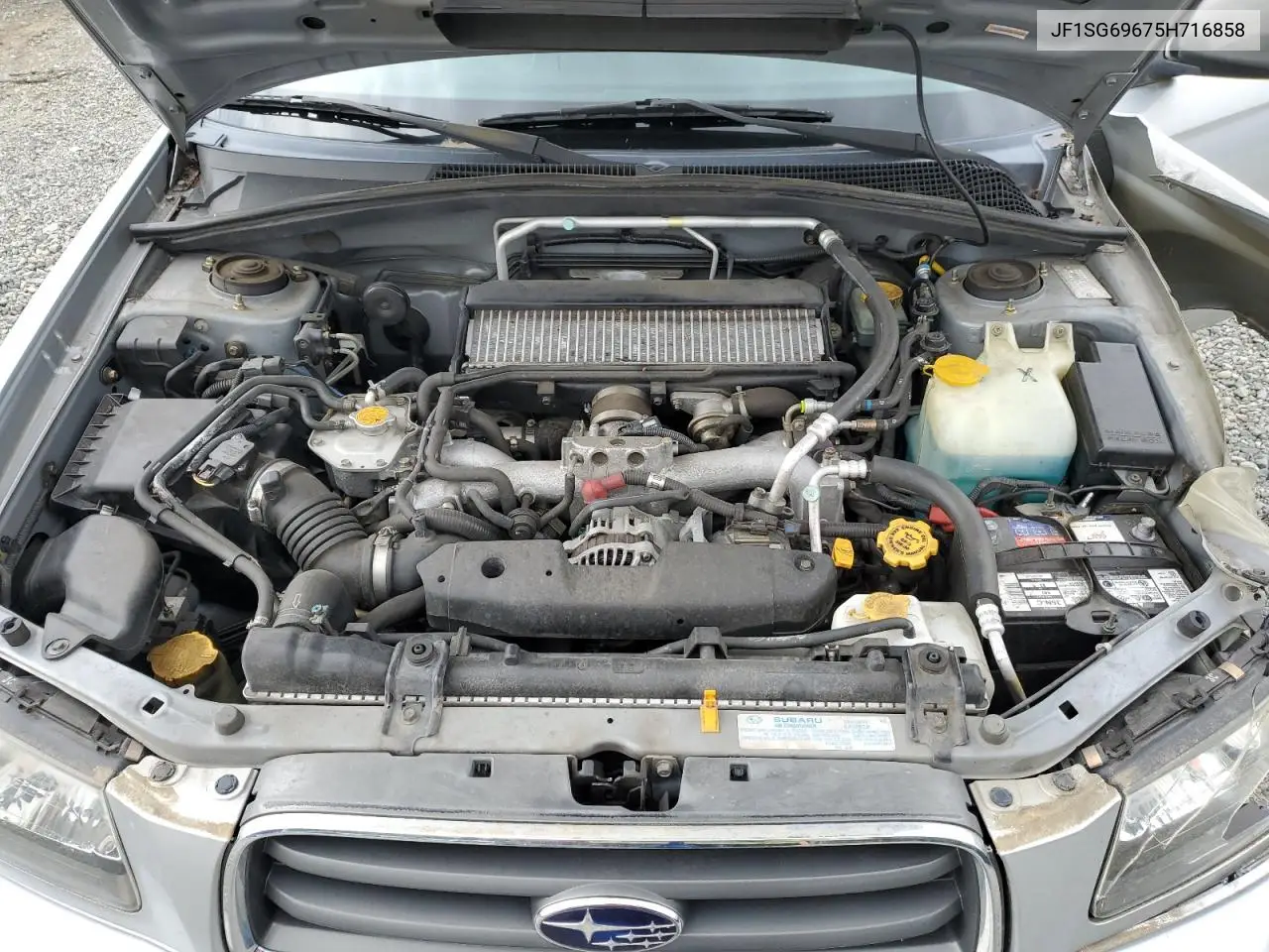 2005 Subaru Forester 2.5Xt VIN: JF1SG69675H716858 Lot: 62895165