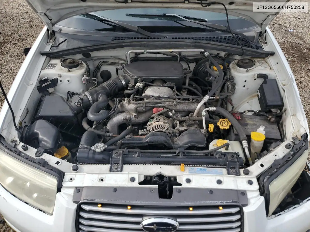 2006 Subaru Forester 2.5X Premium VIN: JF1SG65606H750258 Lot: 59902575