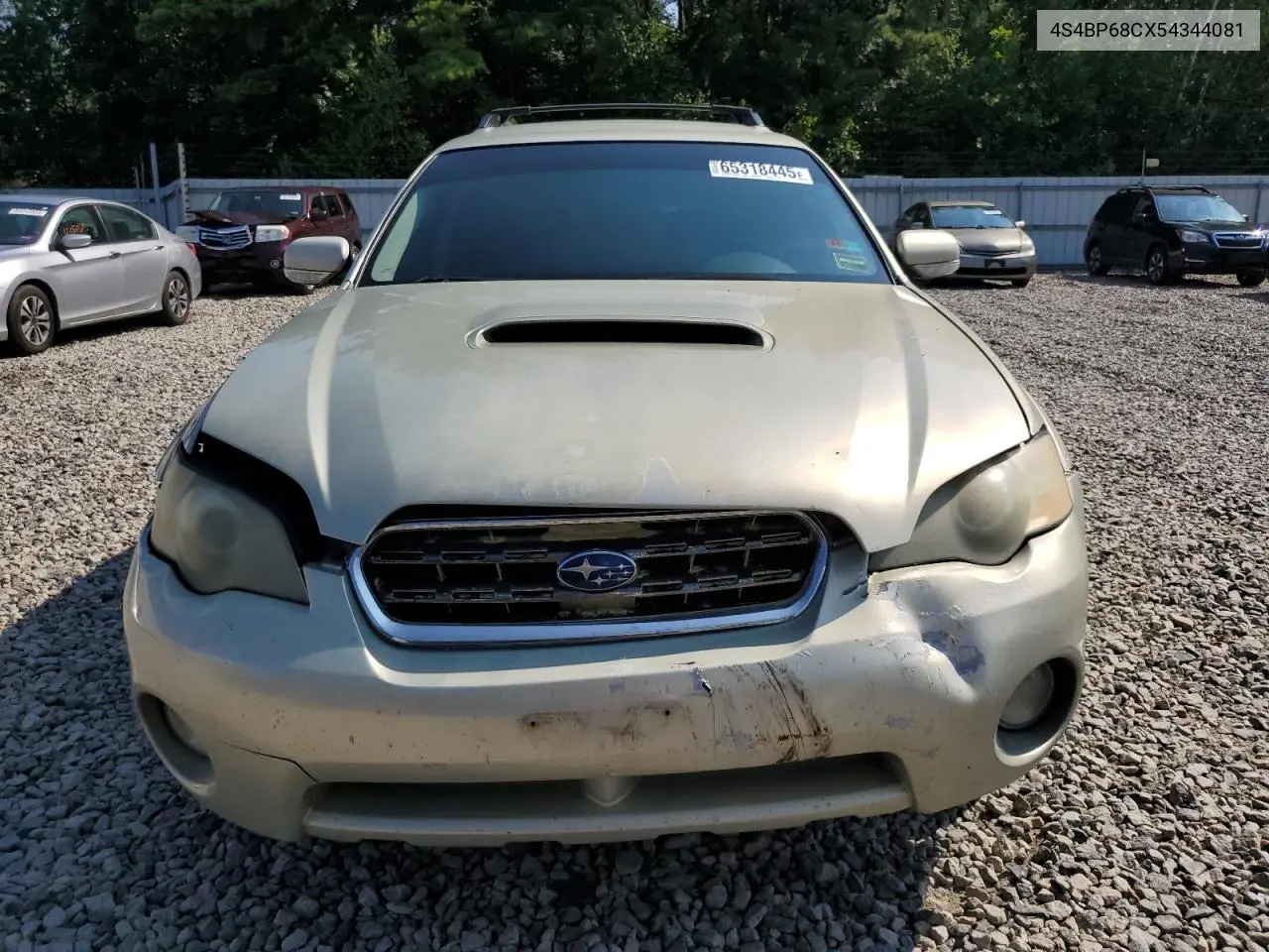 2005 Subaru Legacy Outback 2.5 Xt VIN: 4S4BP68CX54344081 Lot: 65318445