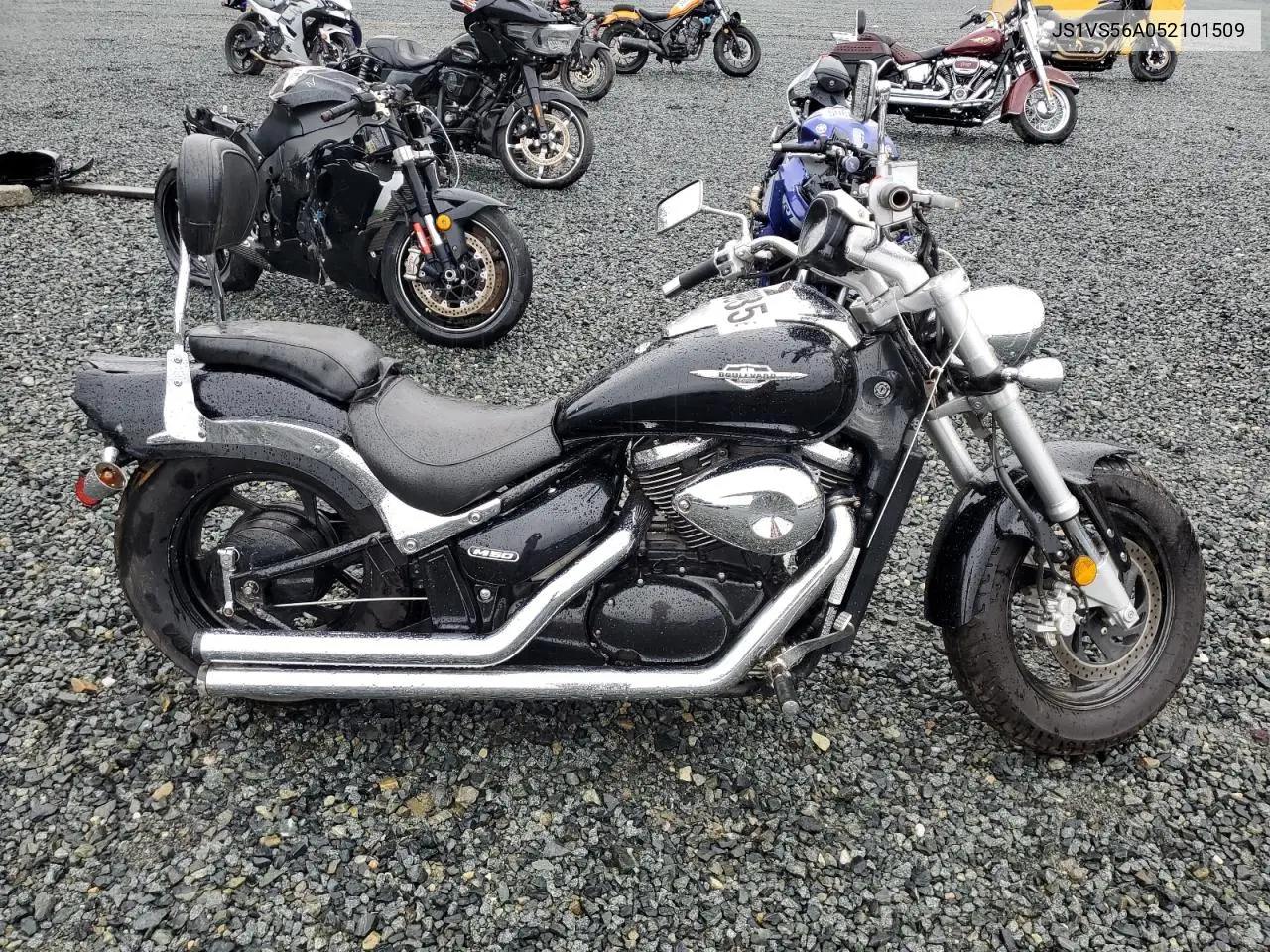 2005 Suzuki M50 Bk5 VIN: JS1VS56A052101509 Lot: 56389935