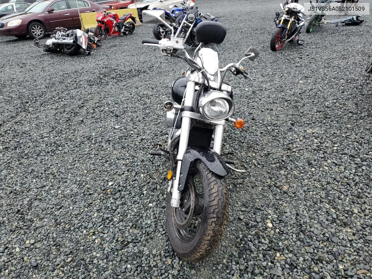 2005 Suzuki M50 Bk5 VIN: JS1VS56A052101509 Lot: 56389935