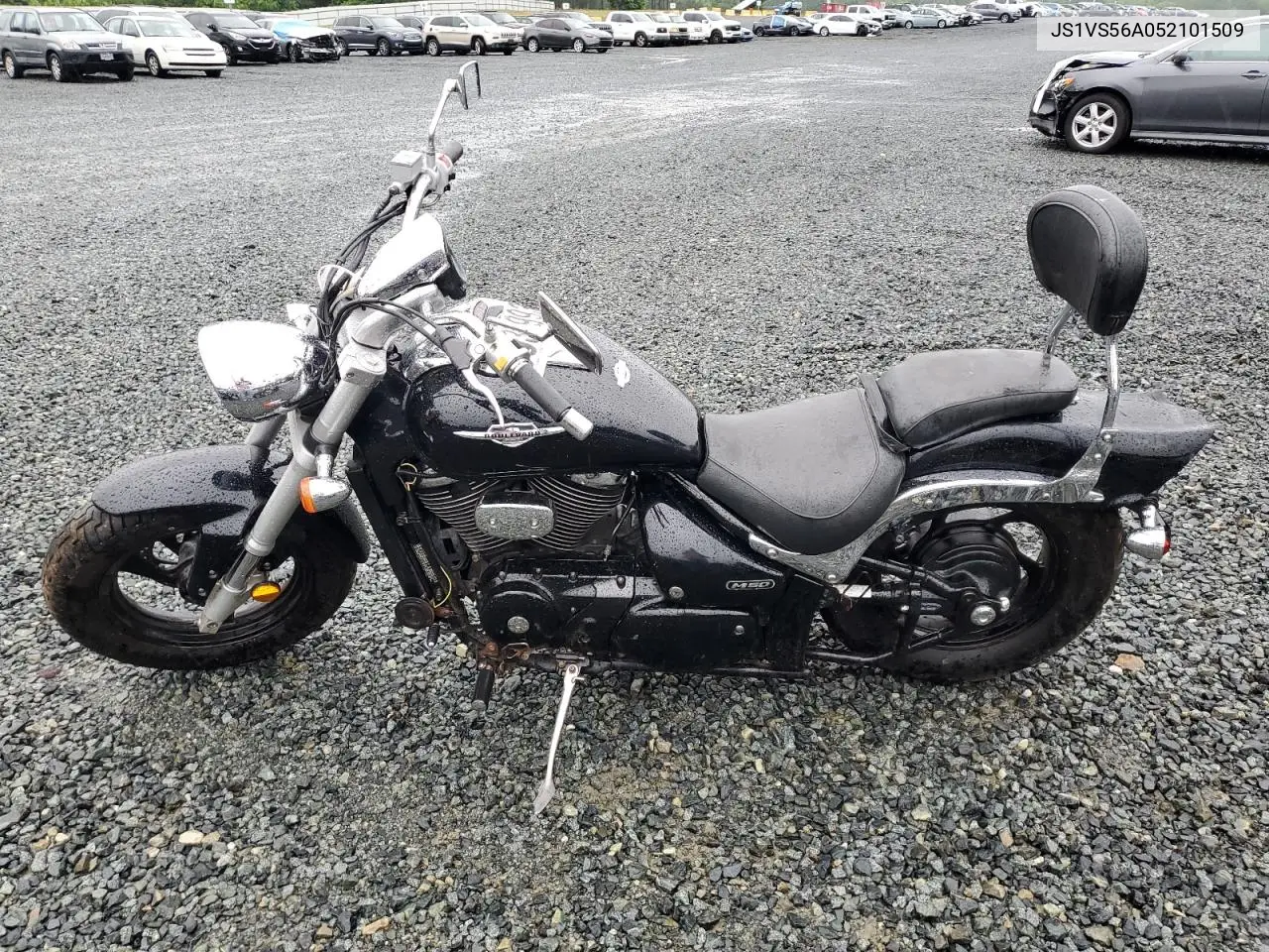 2005 Suzuki M50 Bk5 VIN: JS1VS56A052101509 Lot: 56389935