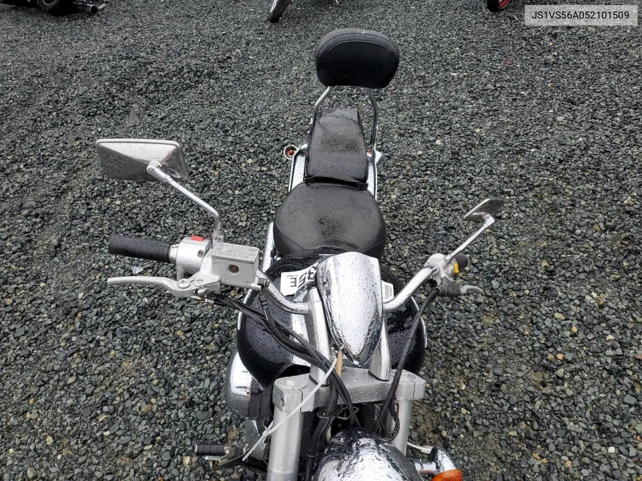 2005 Suzuki M50 Bk5 VIN: JS1VS56A052101509 Lot: 56389935