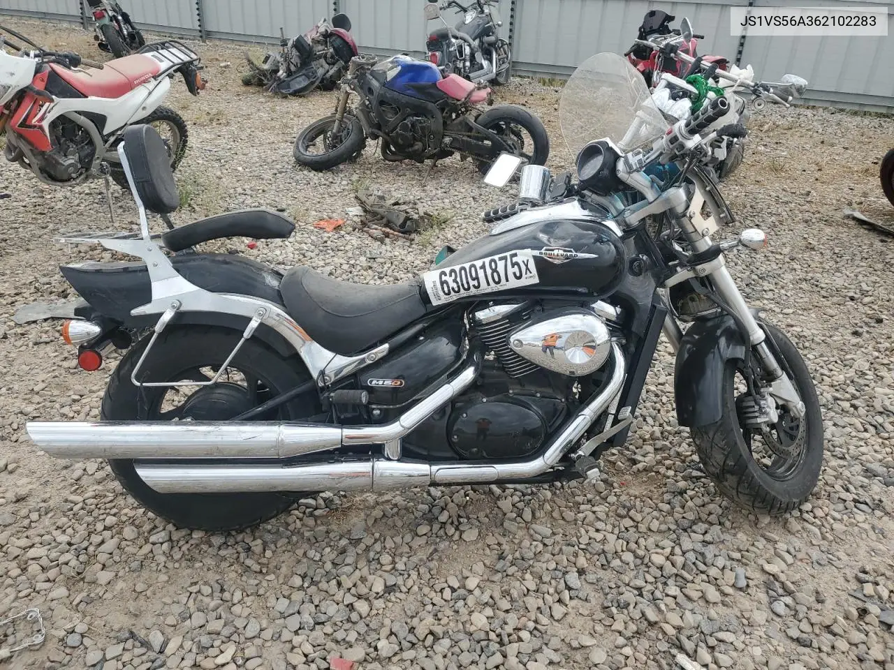2006 Suzuki M50 Bk5 VIN: JS1VS56A362102283 Lot: 63091875