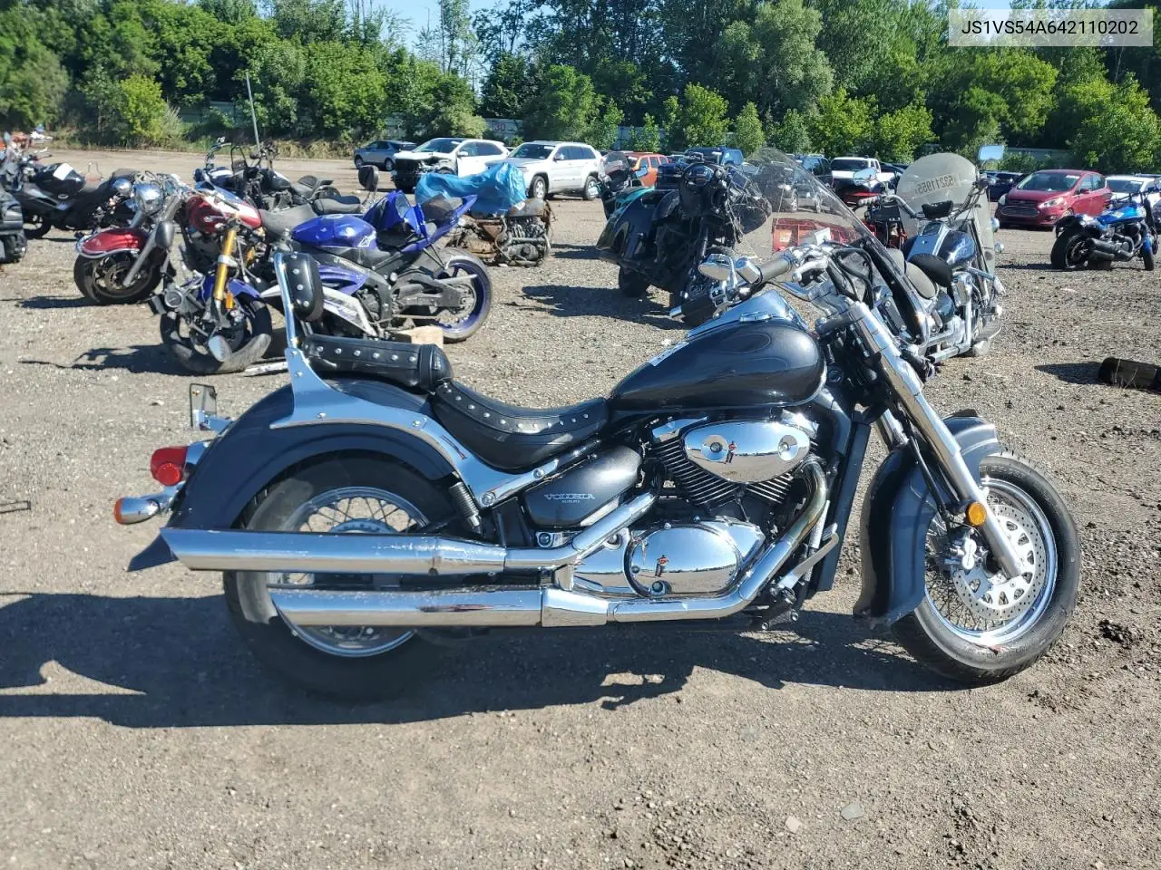 2004 Suzuki Vl800 VIN: JS1VS54A642110202 Lot: 62853605